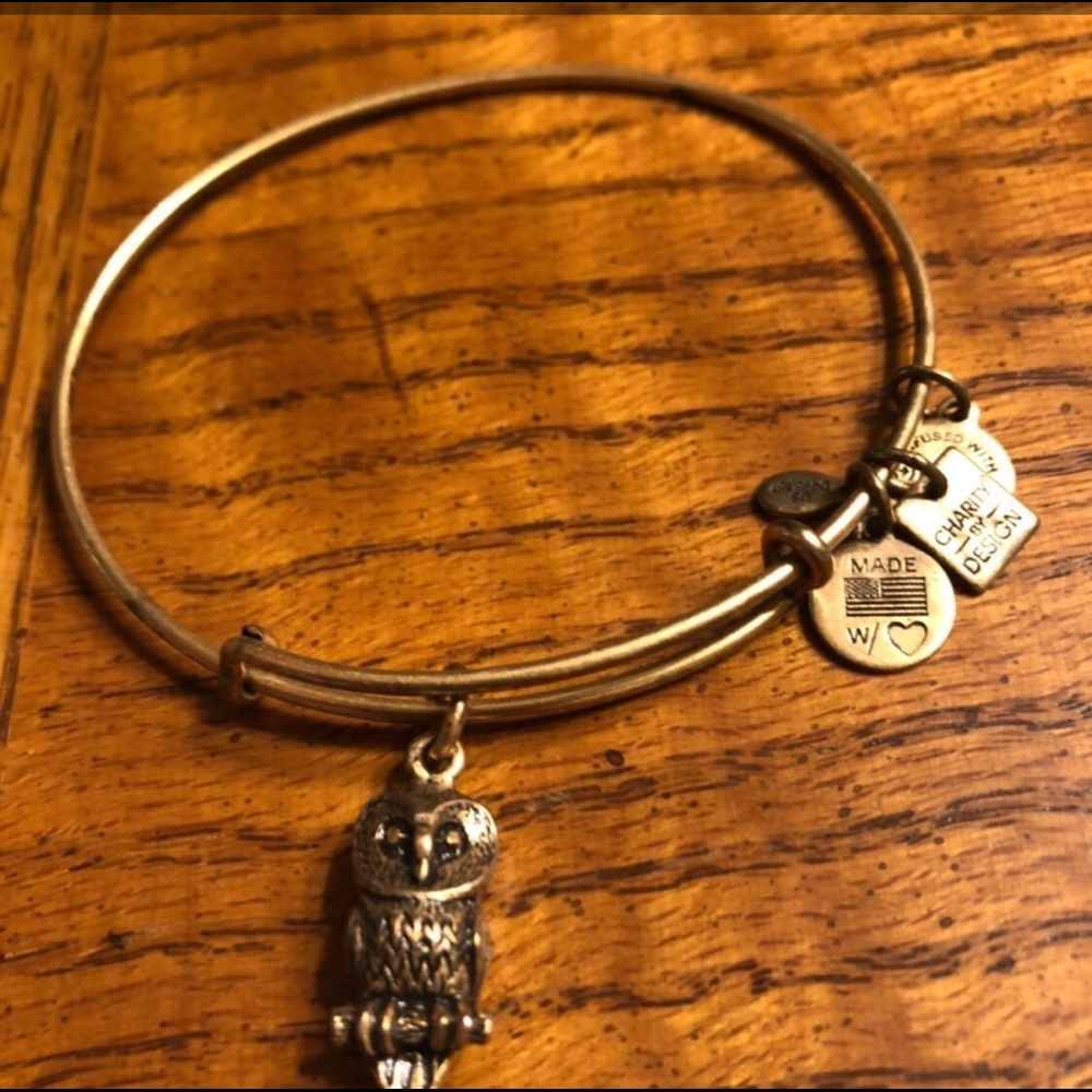 Alex and Ani Owl Bangle